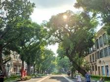 今年以来，荔湾新增释放约311.4万平方米产业空间载体｜聚“荔”百千万工程