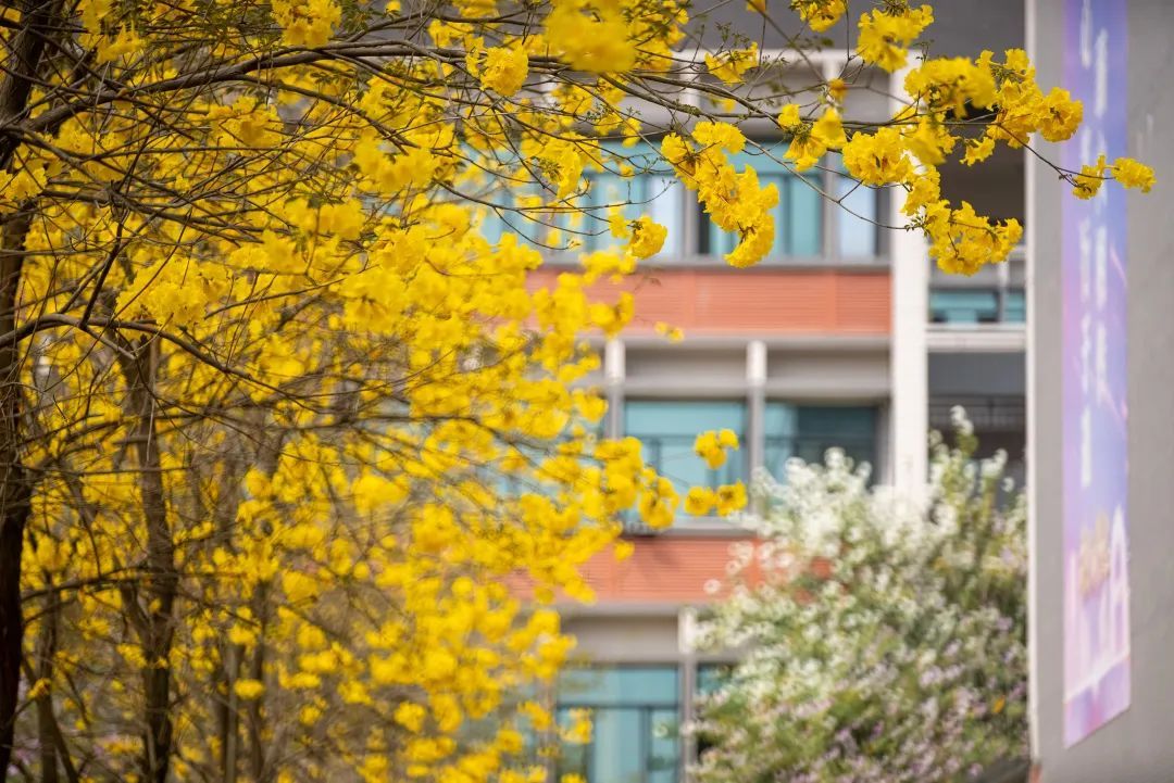 图源：广东岭南职业技术学院