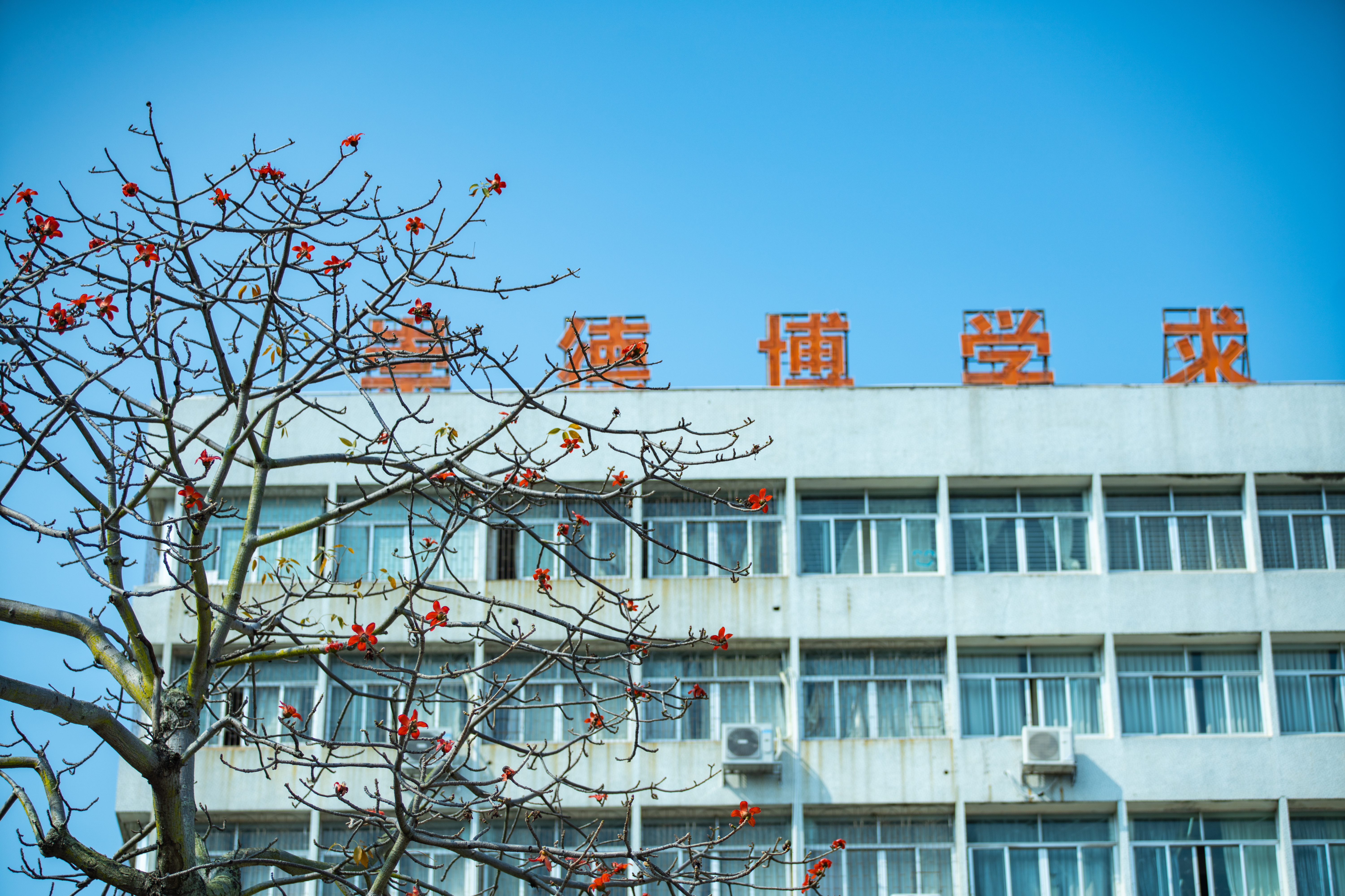 赵梓安 摄
