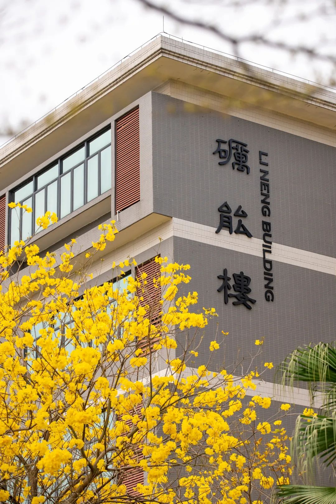 图源：广东岭南职业技术学院