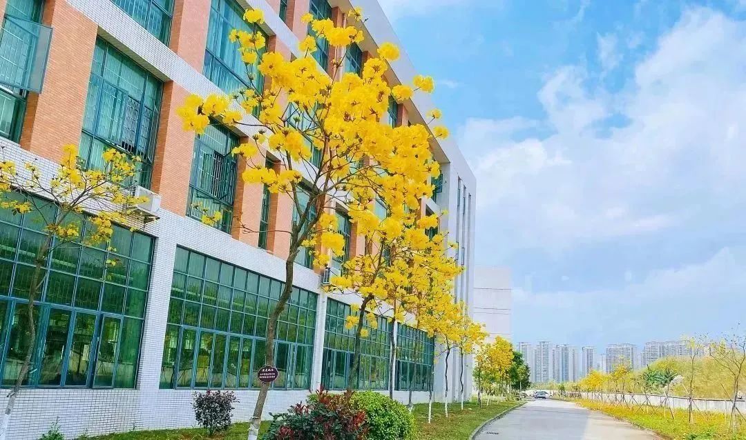 图源：河源技师学院