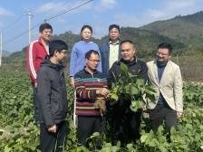 “驻”进心里 帮到点上——记广州派驻丰顺县黄金镇工作队的帮扶故事