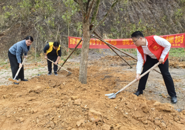 当地干部带头在“乡贤林”参加义务植树活动