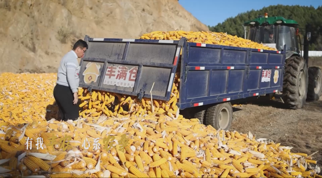 丰农控股服务土地面积超过1亿亩，服务用户超过1000万人，助推各地农业现代化水平提升。