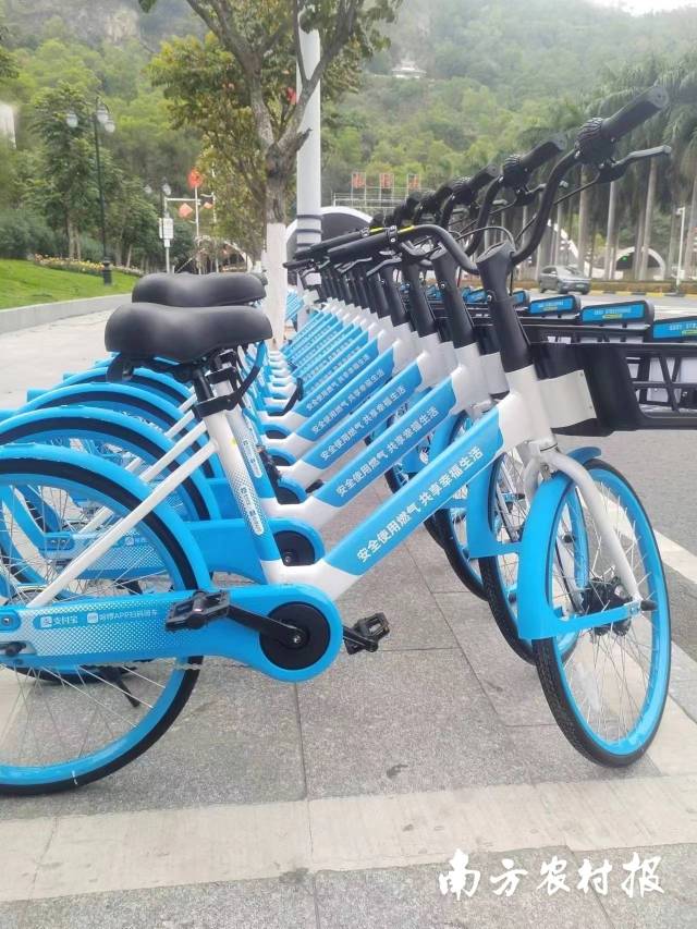 受访者供图