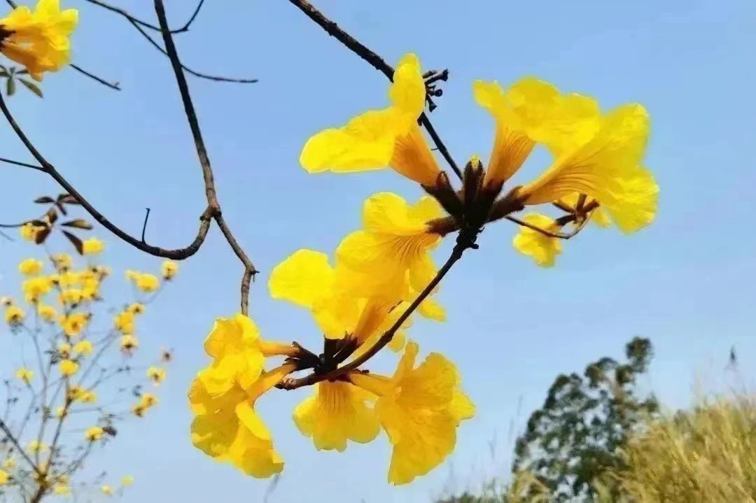 图源：河源技师学院