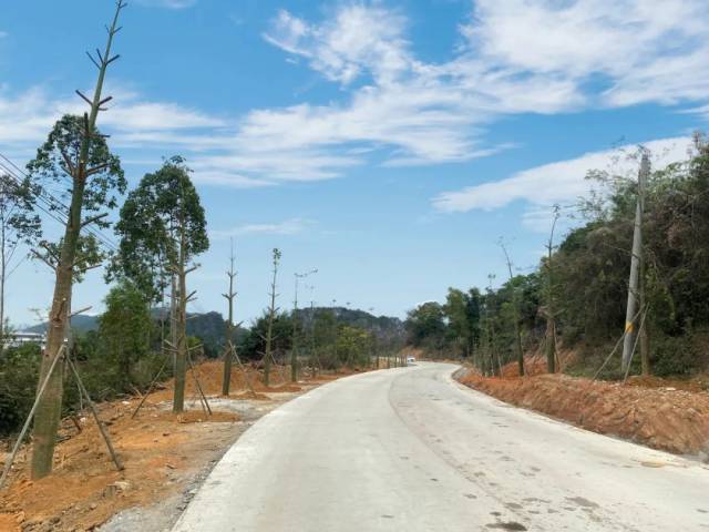 石望镇组织发动超100名乡贤参与乡村绿化