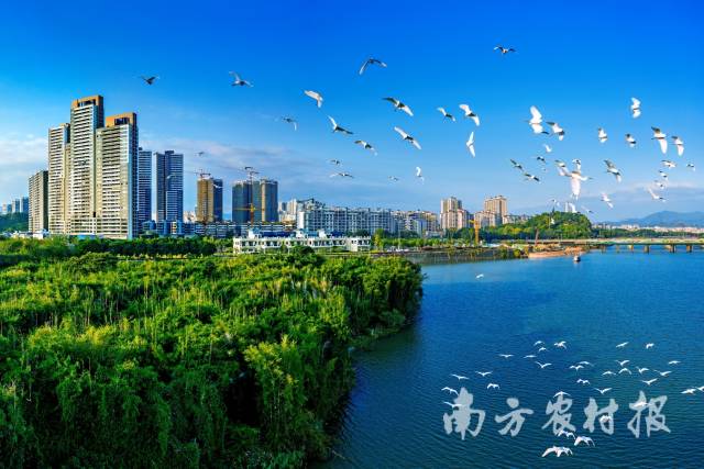 广州持续绘就人与自然和谐共生生态画卷