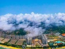 吴川突围进位，绘出发展上扬曲线