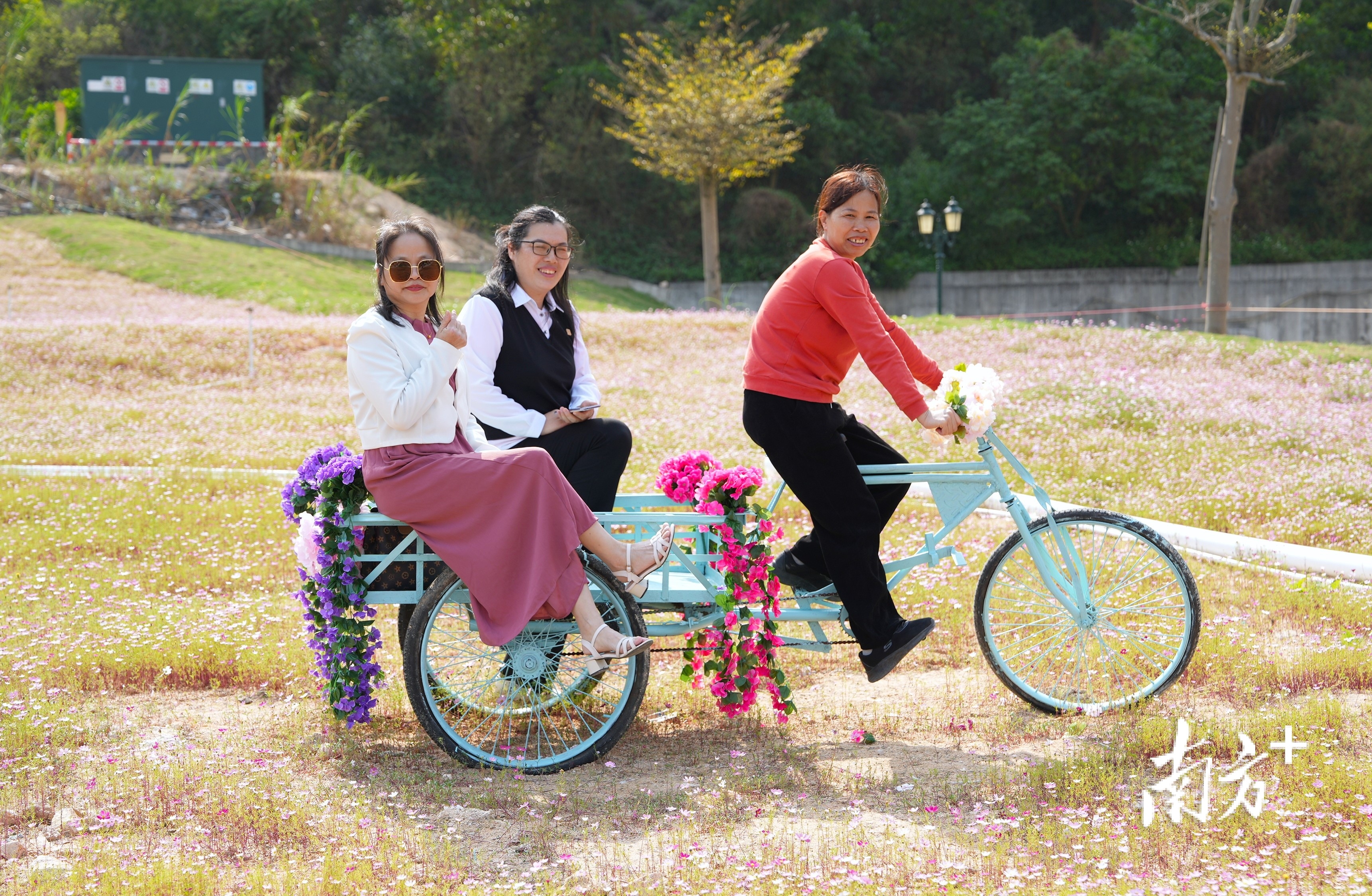 春日里，花田荡漾着游客的笑容。 