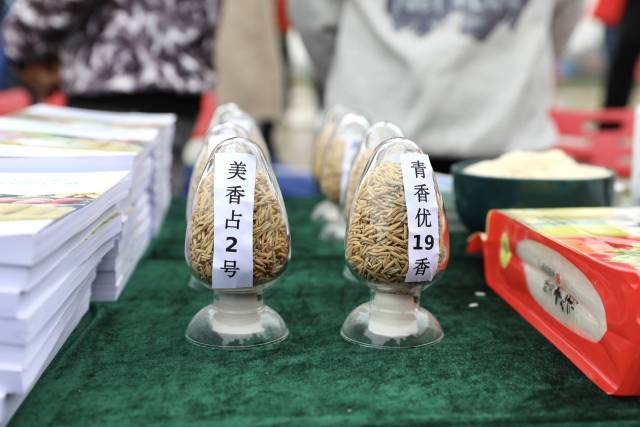 清远丝苗米良种、产品现场展示。