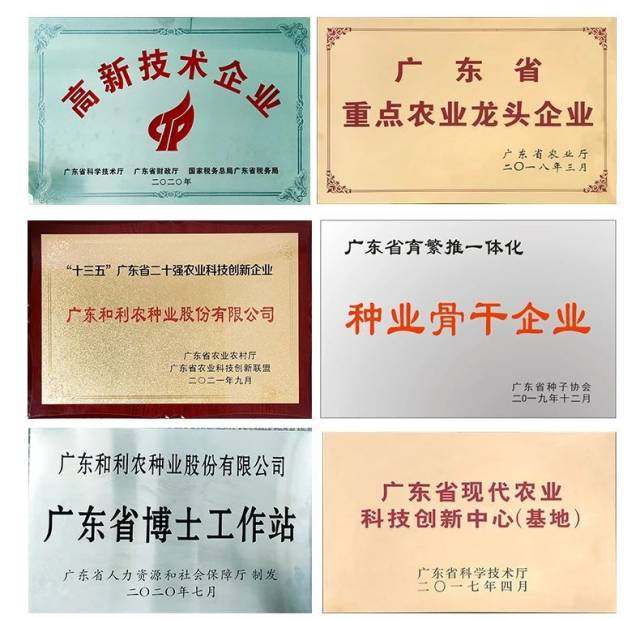 企业所获荣誉。 企业所获荣誉。