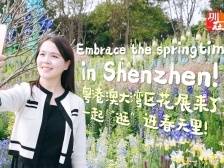 双语vlog | 粤港澳大湾区花展来了，一起“逛”进春天里！2024 GBA Flower Show has opened