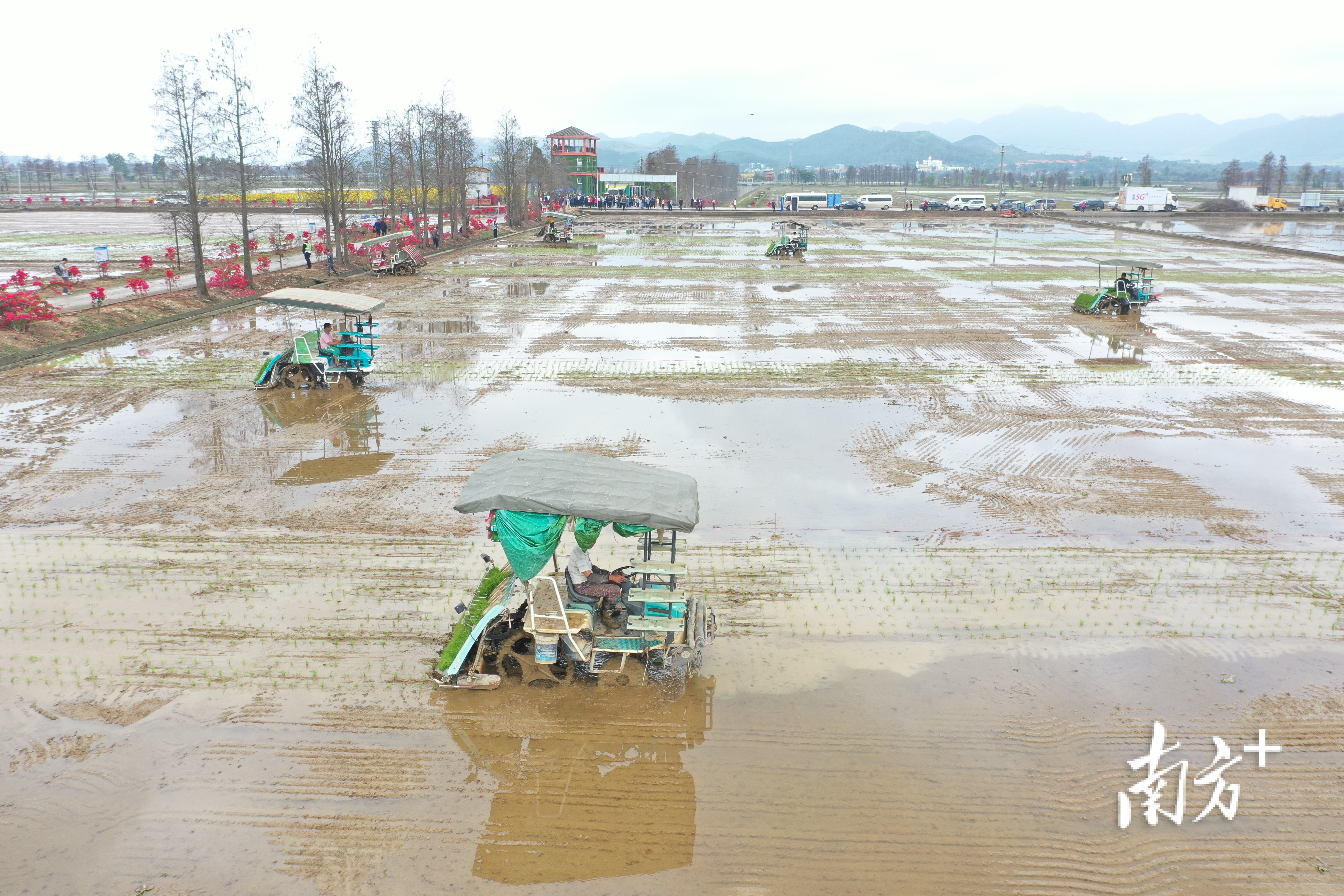 一犁春泥万顷绿，春来种下丰产粮。郭永乐 摄