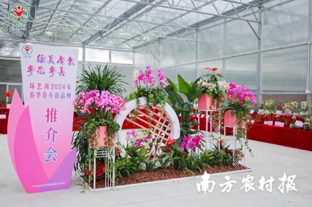 推介会现场春意盎然。