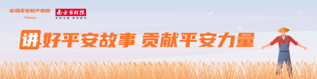 純色時尚麵包服裝圖片大全（純色服裝效果圖）