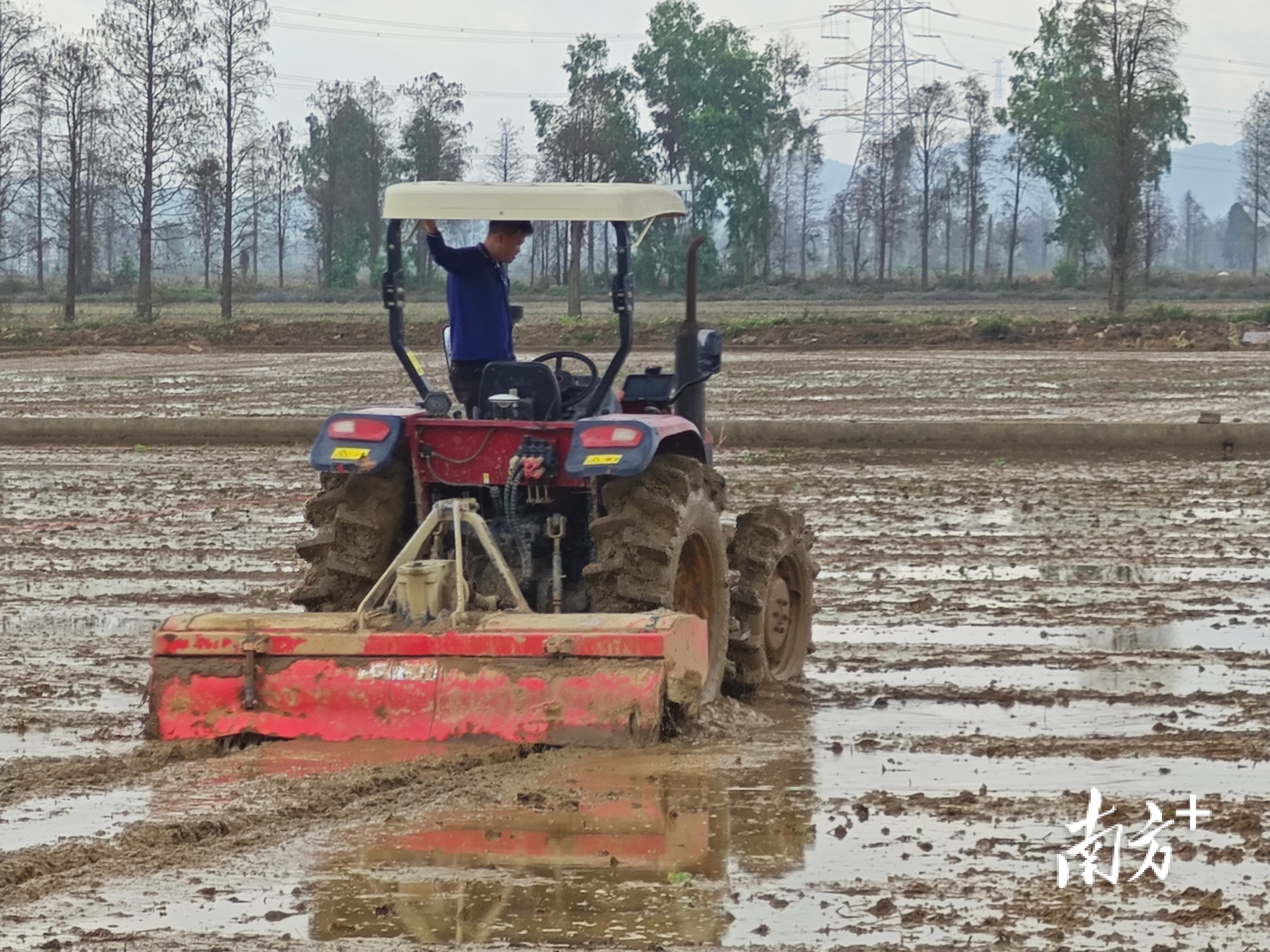 稻田平整机正在平整水田。&nbsp;
