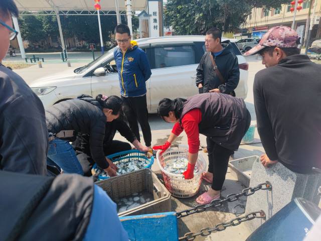 小漠港附近，各类海鲜即捕即卖。