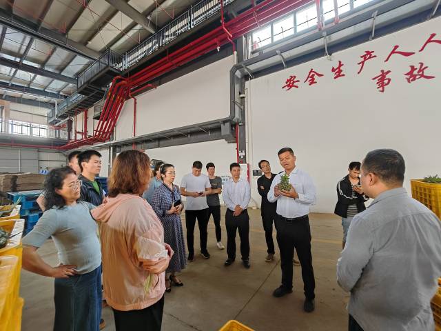 邓健卿介绍RCEP国际交易中心。