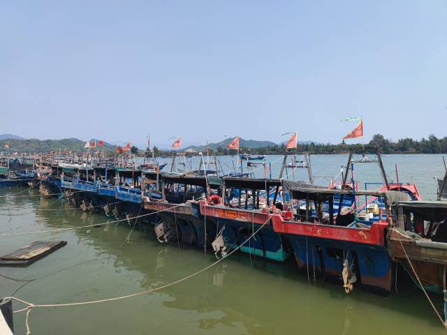 停靠在小漠港的渔船。