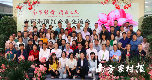 交流会现场，是一片朱顶红的海洋。