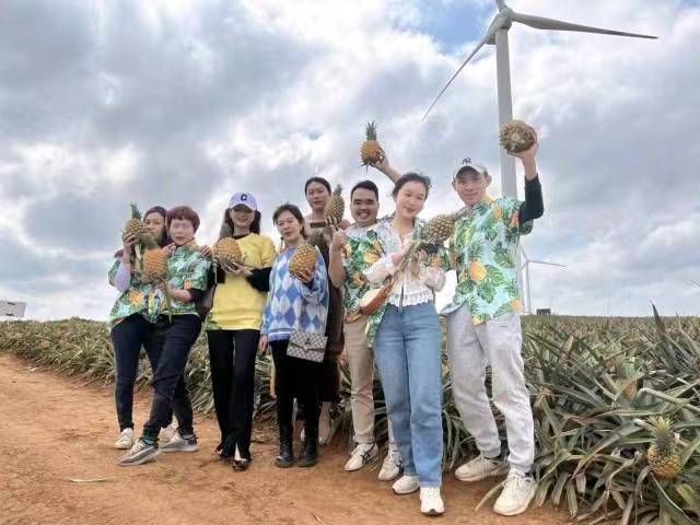 菠萝的海百千田头直播。