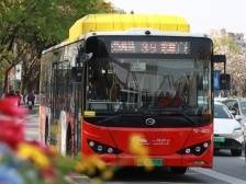 清明墓园及公园周边泊位预计紧张，祭扫踏青建议公交出行