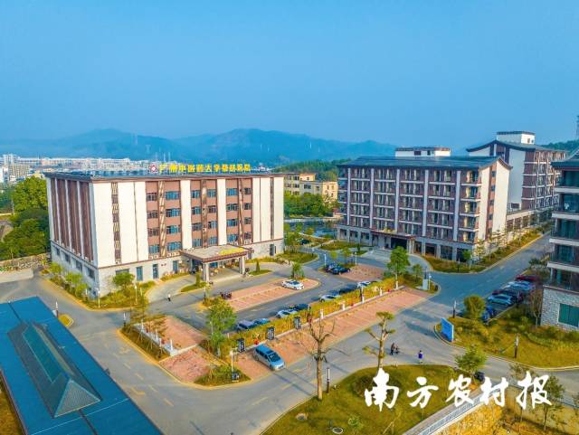 依托水头镇卫生医院，黄强投资建设药王谷生态康养度假中心正逐步成型。