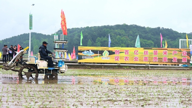 坐五爭六,！連州科技農(nóng)機鬧春耕,，力拼糧食產(chǎn)量六連增