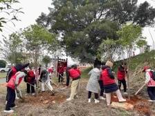 推进绿美乡村建设，始兴这样营造“植绿”氛围