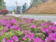 乳源大布镇：打造出一批“会说话”的绿美节点