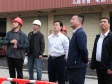 鲁锦锋到浈江犁市镇调研“百千万工程”典型镇村建设工作