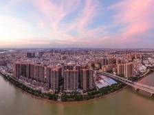 东凤镇：家电明珠招商引活水｜投资中山