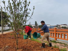 董塘镇：做绿美乡村“守护者”