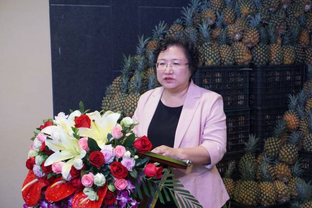 徐闻县委书记罗红霞