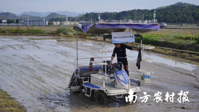 機(jī)械化種植,，大大提高了連州糧食生產(chǎn)效率。