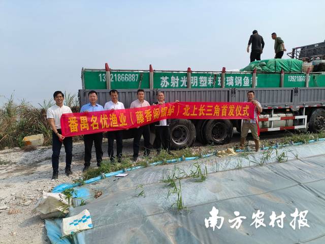 沪指低开高走收涨0.73% 金融股资源股走强