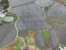 韶关武江首批全域土地综合整治开工项目18个，总体进度达30%