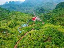 张虎：绿美广东生态建设是百年大计