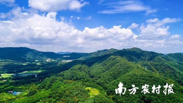 大屏嶂森林公园观音髻山四周森林茂密，视野极佳