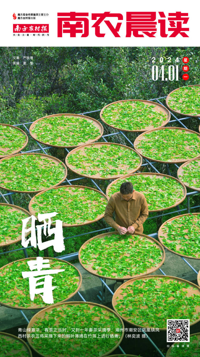 南方农村报 樊静东 制图