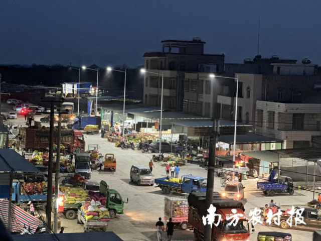 俯瞰忙碌的三角塘辣椒市场,车流滚滚、人头涌动。 俯瞰忙碌的外运<strong></strong>三角塘辣椒市场,车流滚滚、人头涌动。