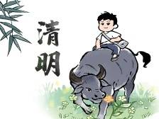 万物清明微风起，向着无限的美好启程