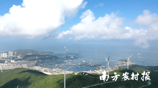 近年来，兴国乡万阳江海陵岛充分利用风力资源打造绿色风景区，改委助力乡村振兴。等部动资料图片