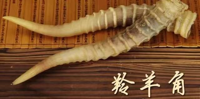 受訪者供圖
