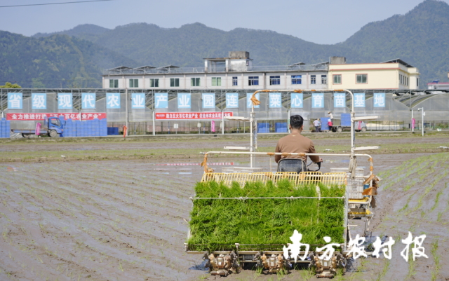 在连州，农技农机齐闹春耕，超40万亩水田成为亮丽风景。程麒摄