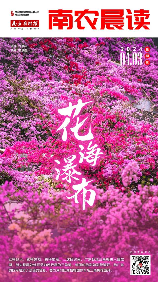 南方农村报 李嘉镓 制图