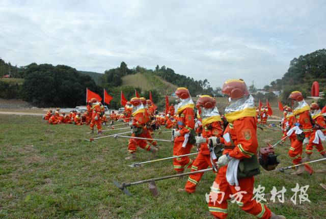 森林火灾预防演练