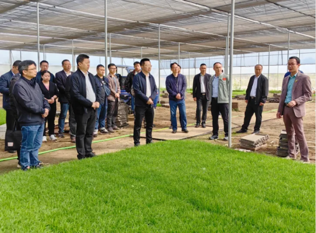 与会人员参观了润粮公司的育秧大棚和机械插秧操作。 与会人员参观了润粮公司的育秧大棚和机械插秧操作。