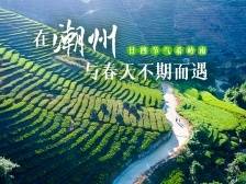 在潮州，与春天不期而遇